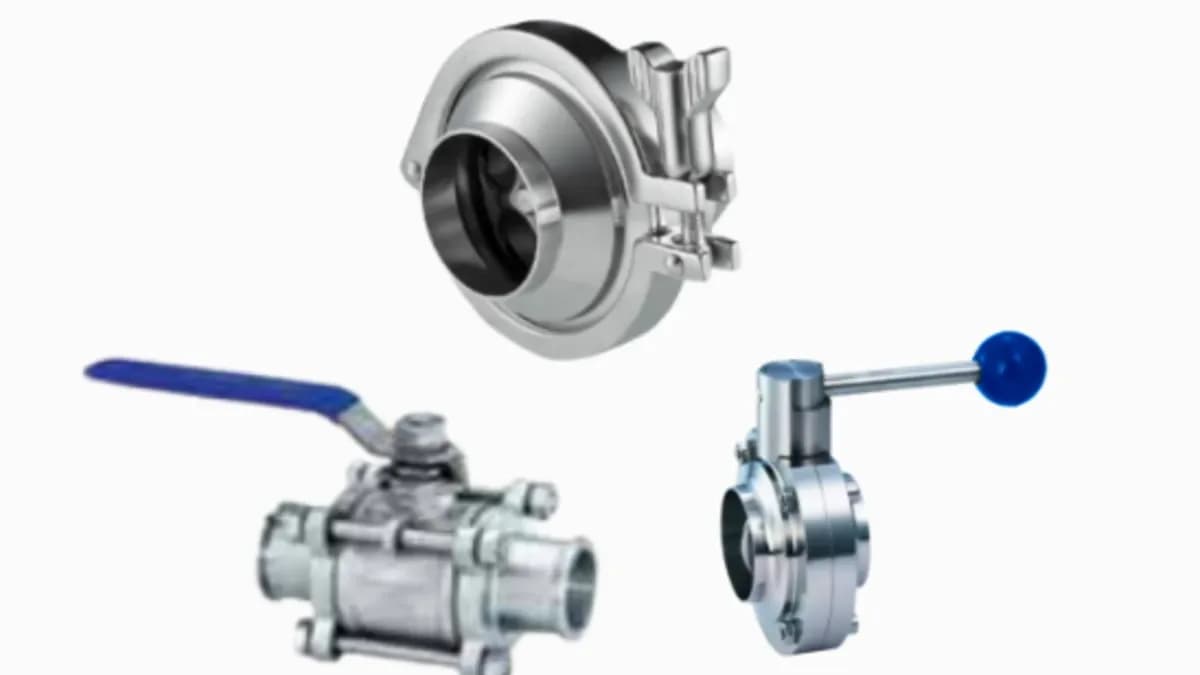 Sanitary Valve: Solusi Higienis untuk Menjaga Kualitas Proses Industri